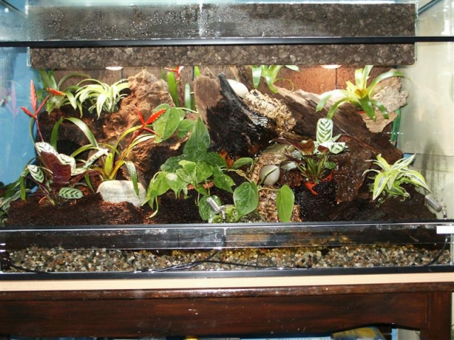 Paludarium